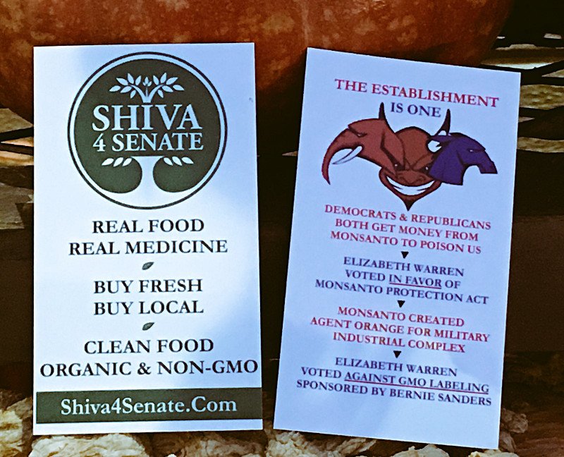 Shiva 4 Senate The Establishment is One