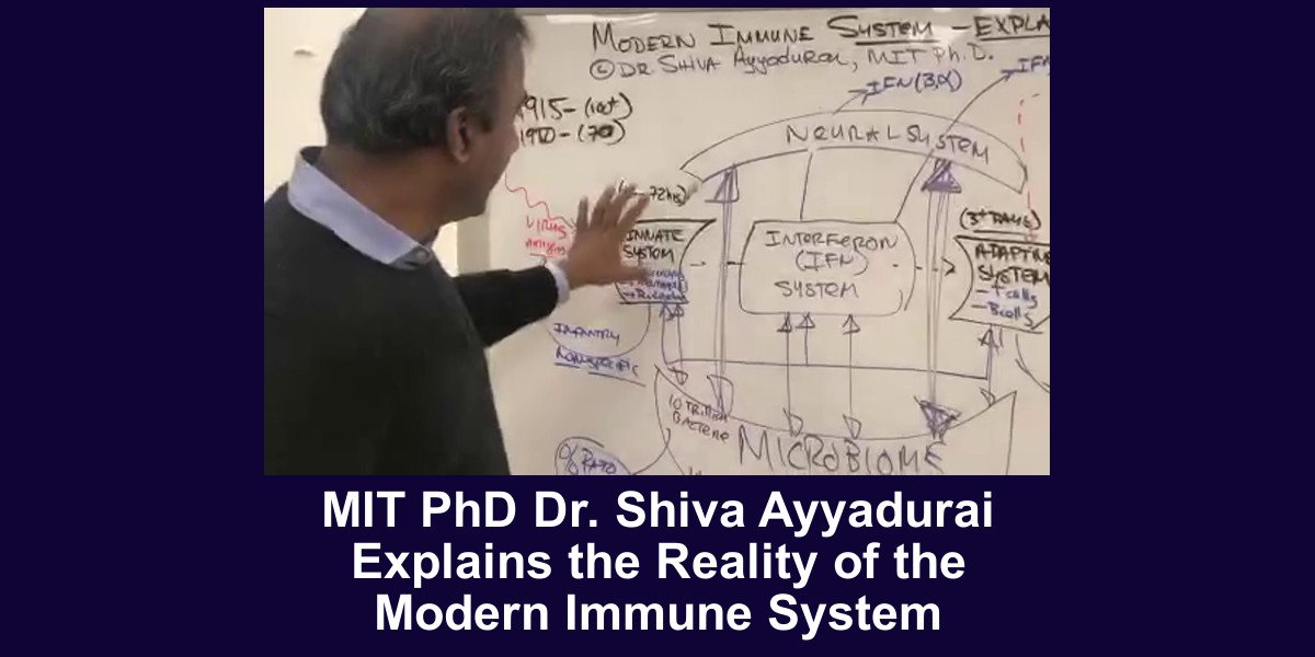 9 Elements – The Foundation to Understand YOU &amp; EVERY SYSTEM