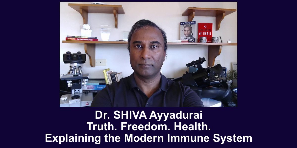 9 Elements – The Foundation to Understand YOU &amp; EVERY SYSTEM